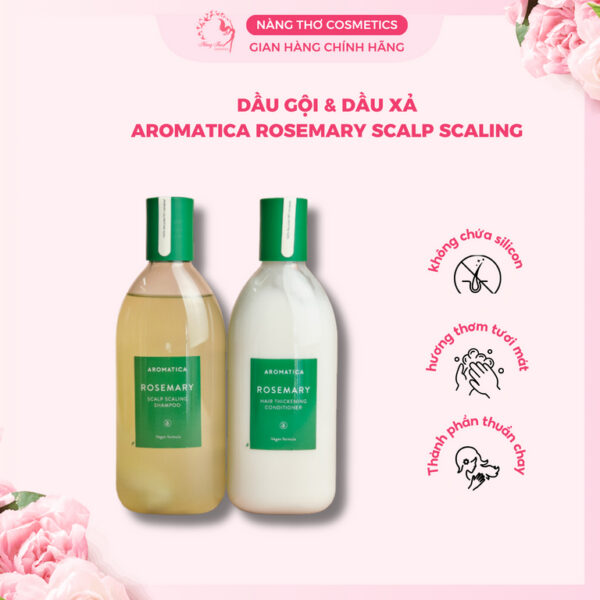 Dầu gội & xả   AROMATICA chiết xuất hương thảo Rosemary Scalp Scaling Shampoo 40ml